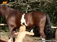 [ XXXL Beastiality Porn ] Blonde chick loves licking and sucking a horse's penis